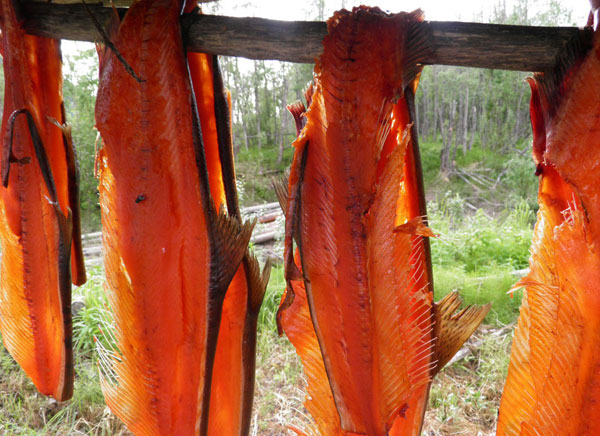 Salmon strips