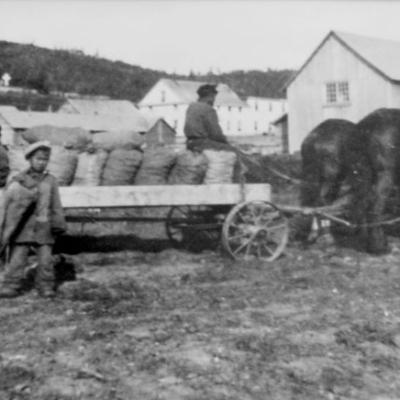Holy Cross, Alaska - Hauling Potatoes Hauling Potatoes