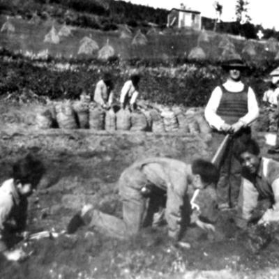 Holy Cross, Alaska - Priest with kids picking potatoes Picking Potatoes